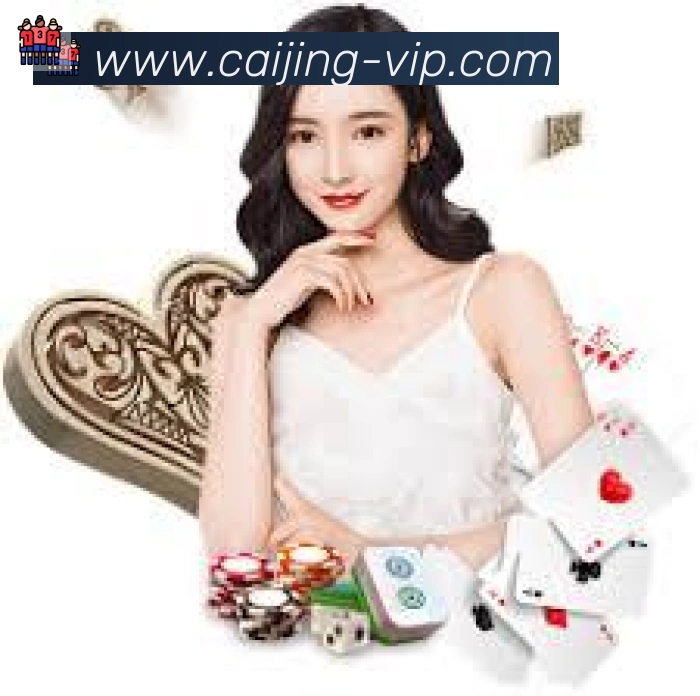 彩经网服务体系
